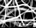 nanowires